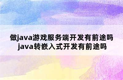 做java游戏服务端开发有前途吗 java转嵌入式开发有前途吗